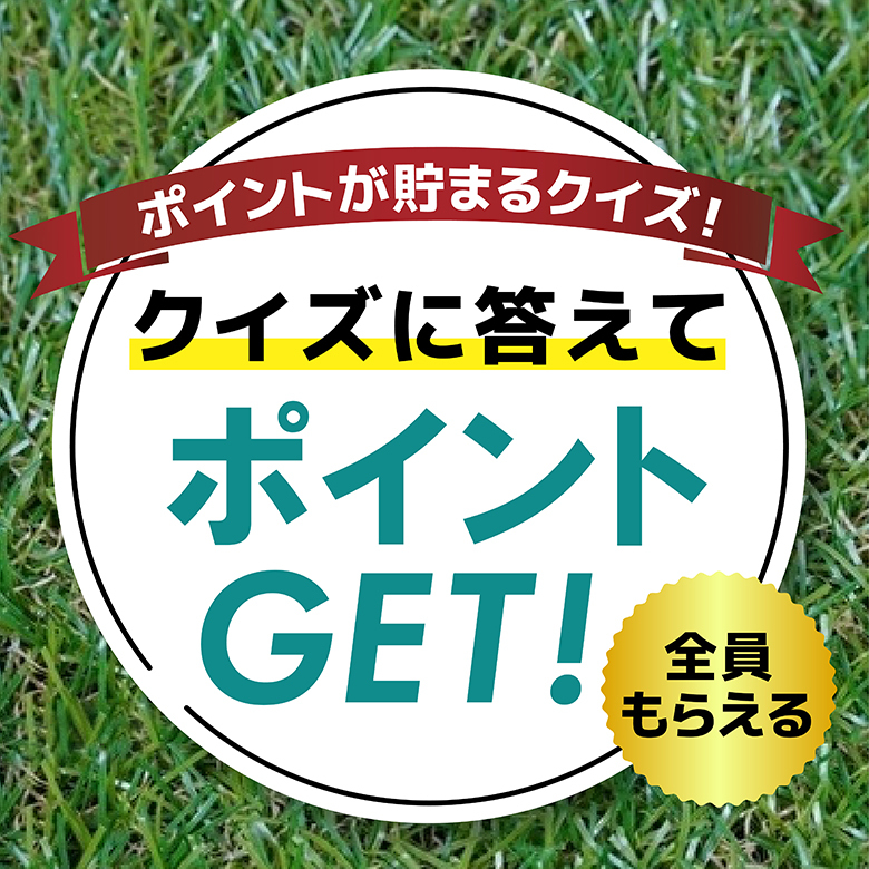 【ポイントが貯まる】とうもろこしクイズ